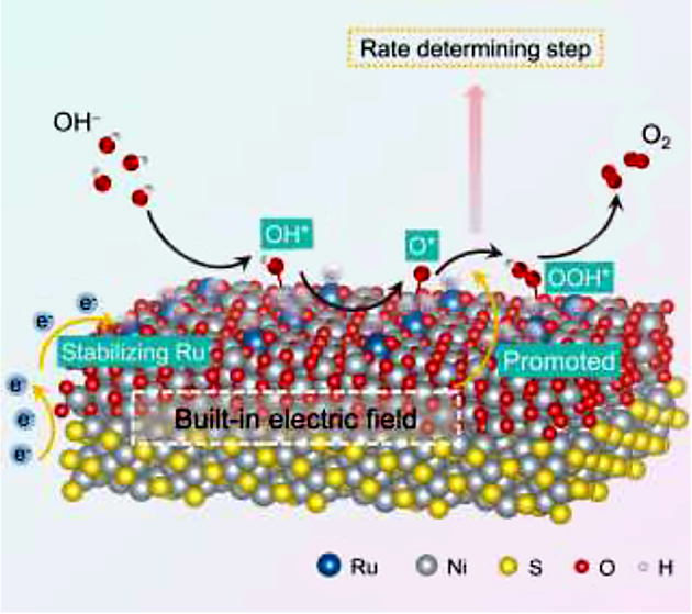 Interfacial Electric Field Stabilized Ru Single-Atom Catalysts for Efficient Water Oxidation — Original graphical abstract
